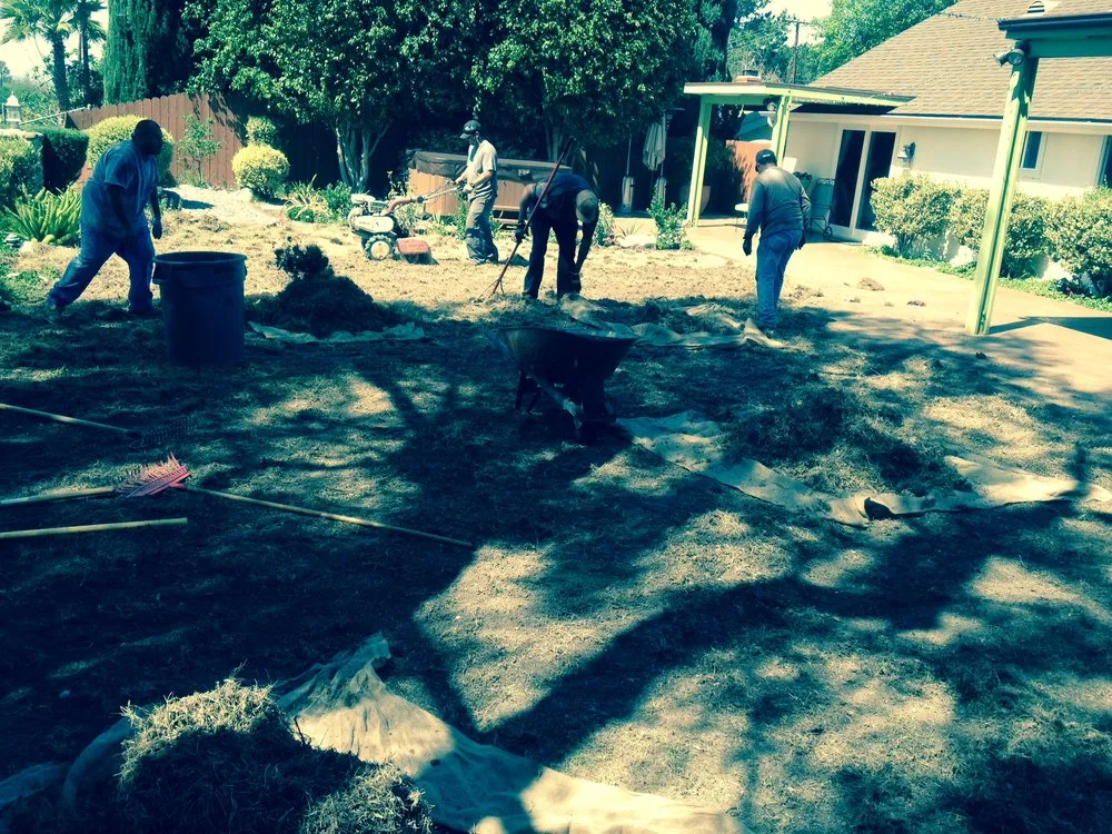 Top-rated outdoor landscaping in Camarillo, CA - Pacific Lawn Care