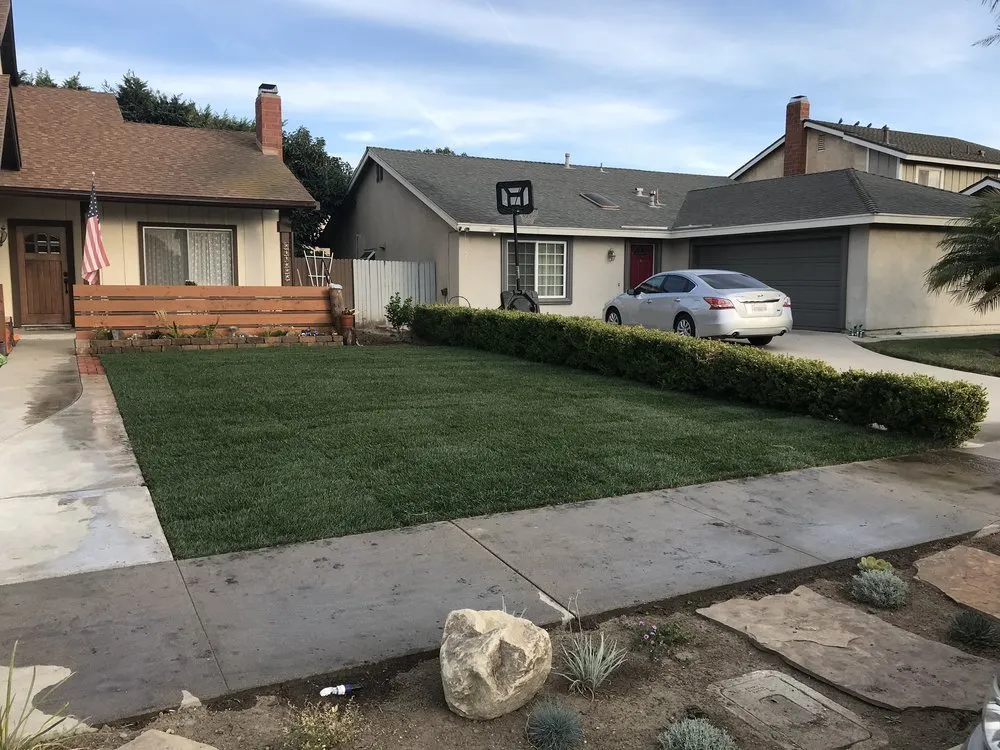 Expert yard maintenance in Camarillo, CA - Pacific Lawn Care