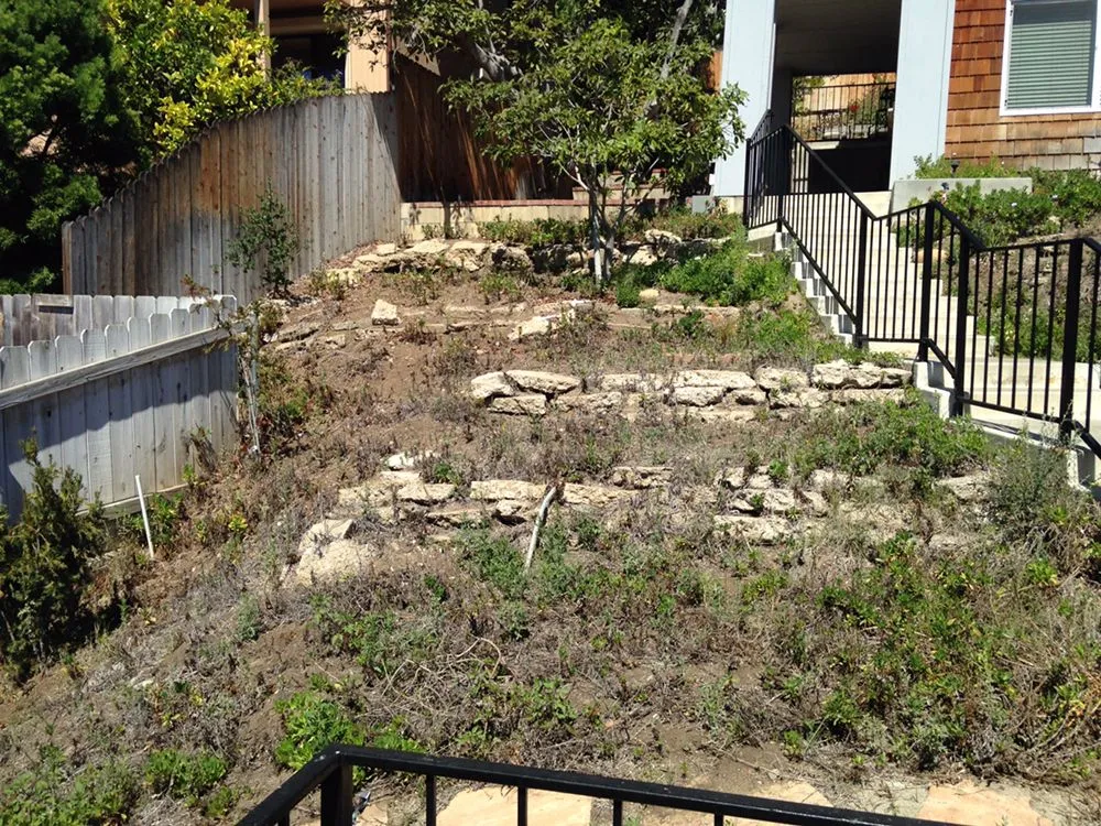 Reliable residential landscaping experts serving Camarillo, CA - Pacific Lawn Care