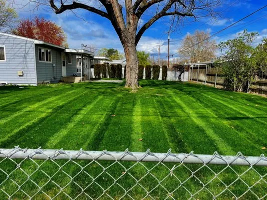 Pacific Lawn Care Logo