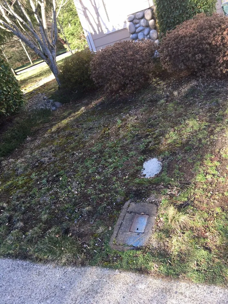 Trusted yard cleanup service for homes in Issaquah, WA by Pacific Lawn Care Services