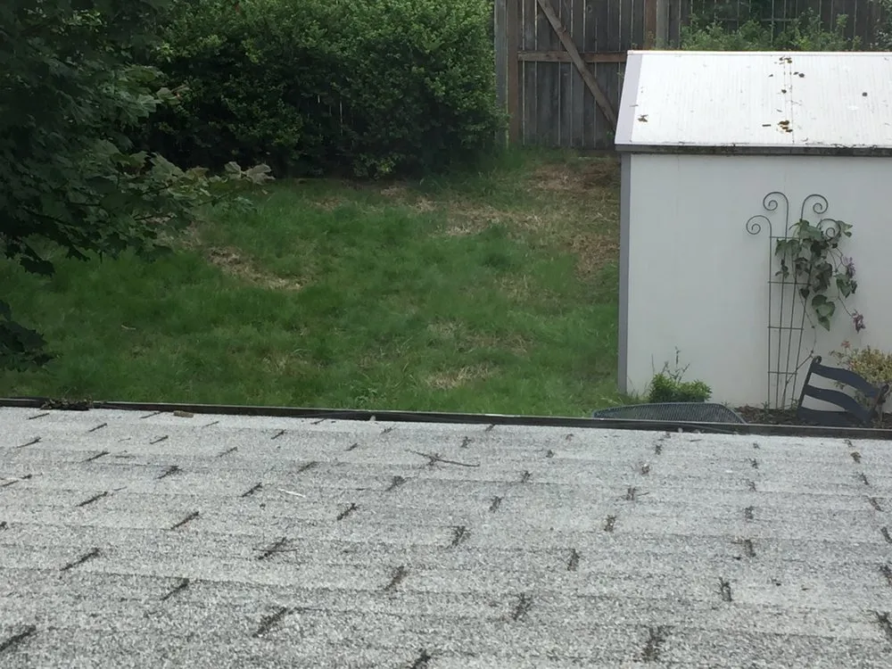 Professional lawn care service in Issaquah, WA by Pacific Lawn Care Services