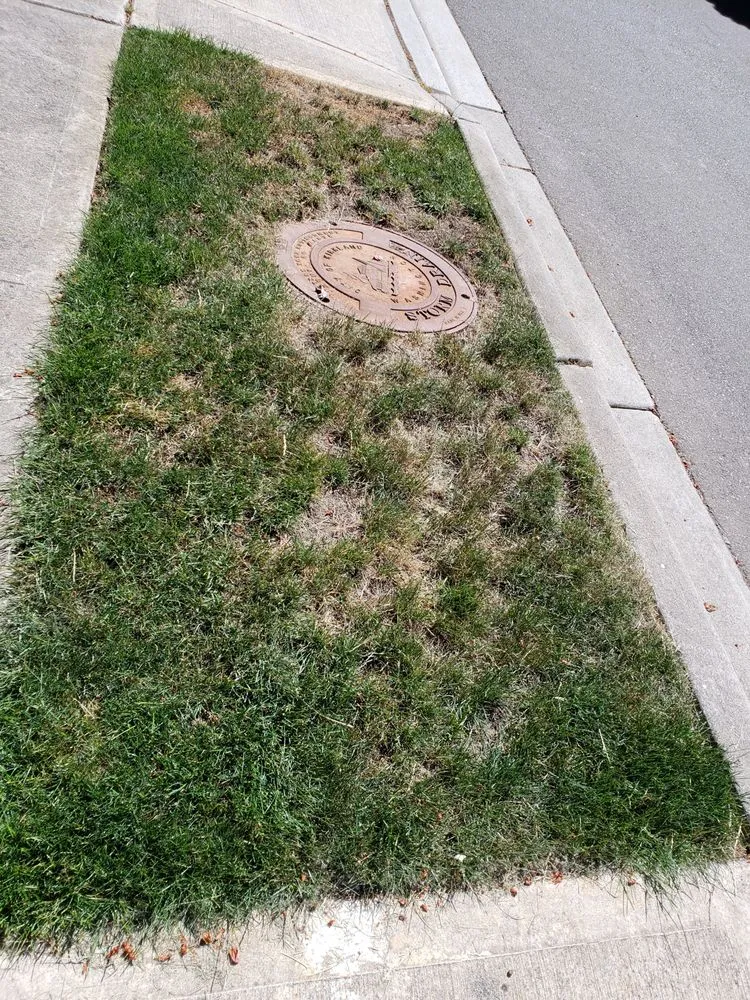 Reliable landscaping services in Issaquah, WA by Pacific Lawn Care Services