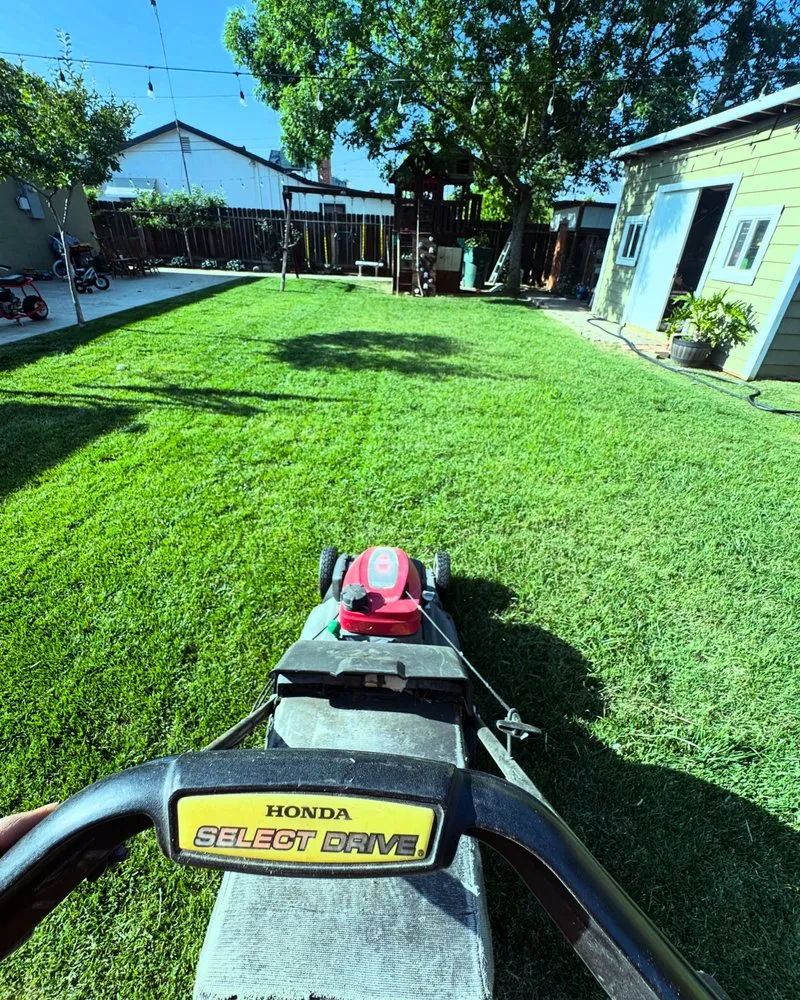 Expert lawn care service with custom design in Lindsay, CA by Pacific Lawn Service