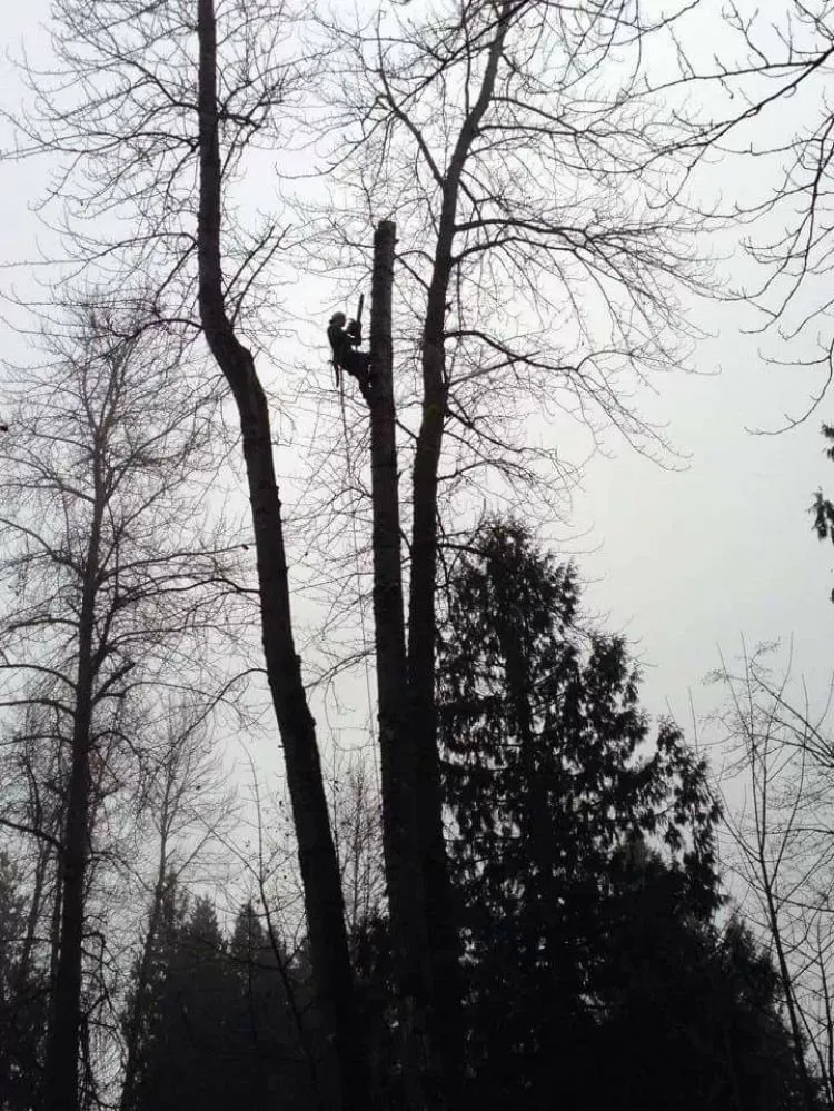 Affordable garden landscaping in Enumclaw, WA by Pacific North Contracting