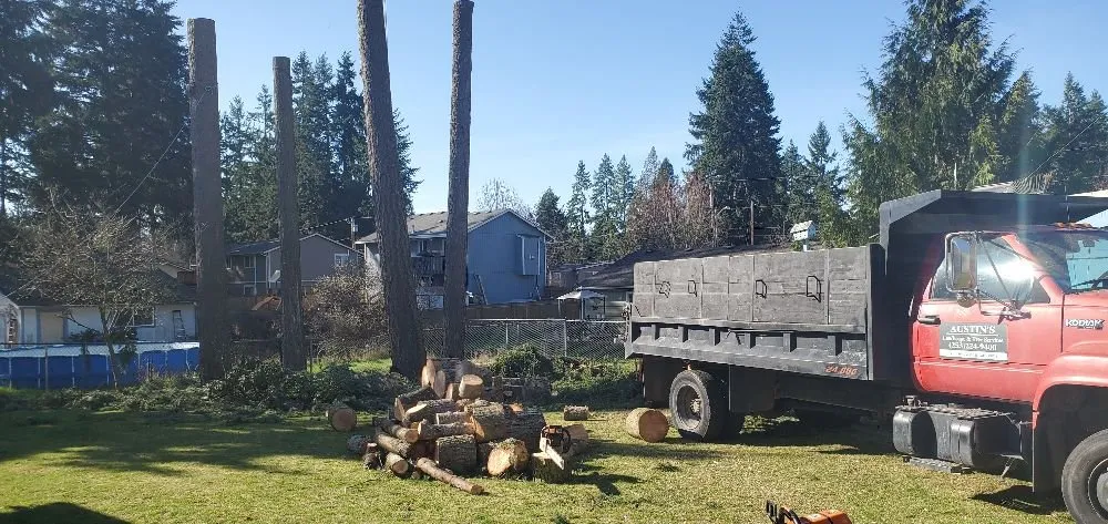 Affordable landscape installation for outdoor upgrades in Enumclaw, WA by Pacific North Contracting