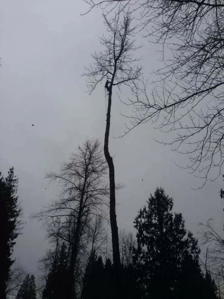 Custom outdoor landscaping in Enumclaw, WA - Pacific North Contracting