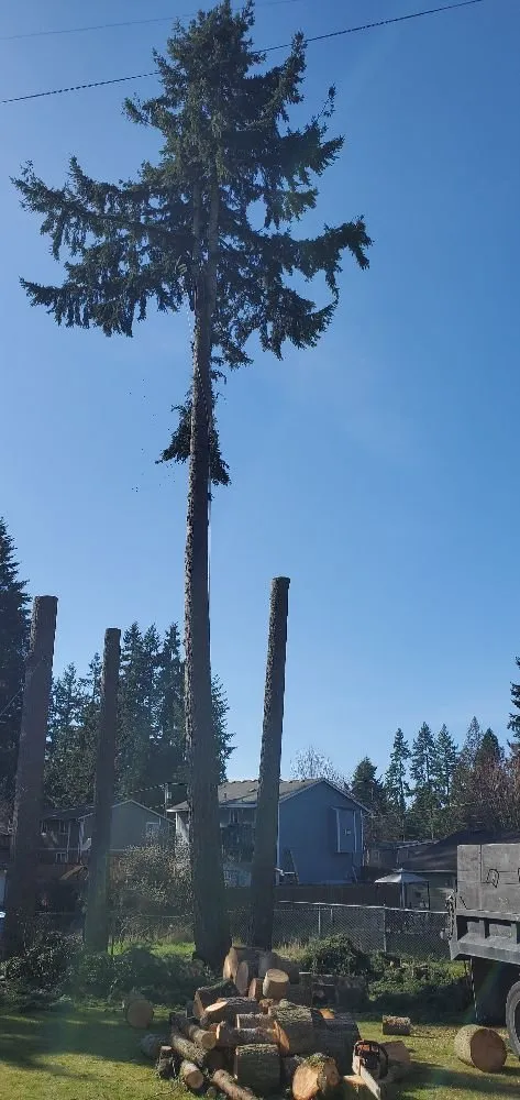 Reliable lawn care service in Enumclaw, WA by Pacific North Contracting