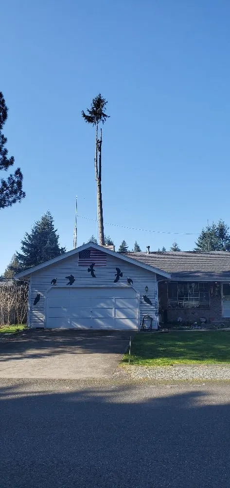 Trusted landscape installation experts serving Enumclaw, WA - Pacific North Contracting