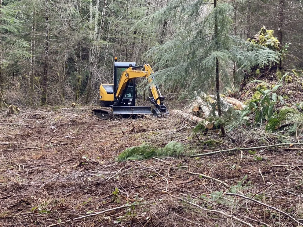 Custom yard cleanup service with custom design in Yelm, WA by Pacific NorthWest DirtWorx