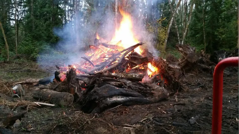 Reliable lawn care service for outdoor upgrades in Yelm, WA by Pacific NorthWest DirtWorx