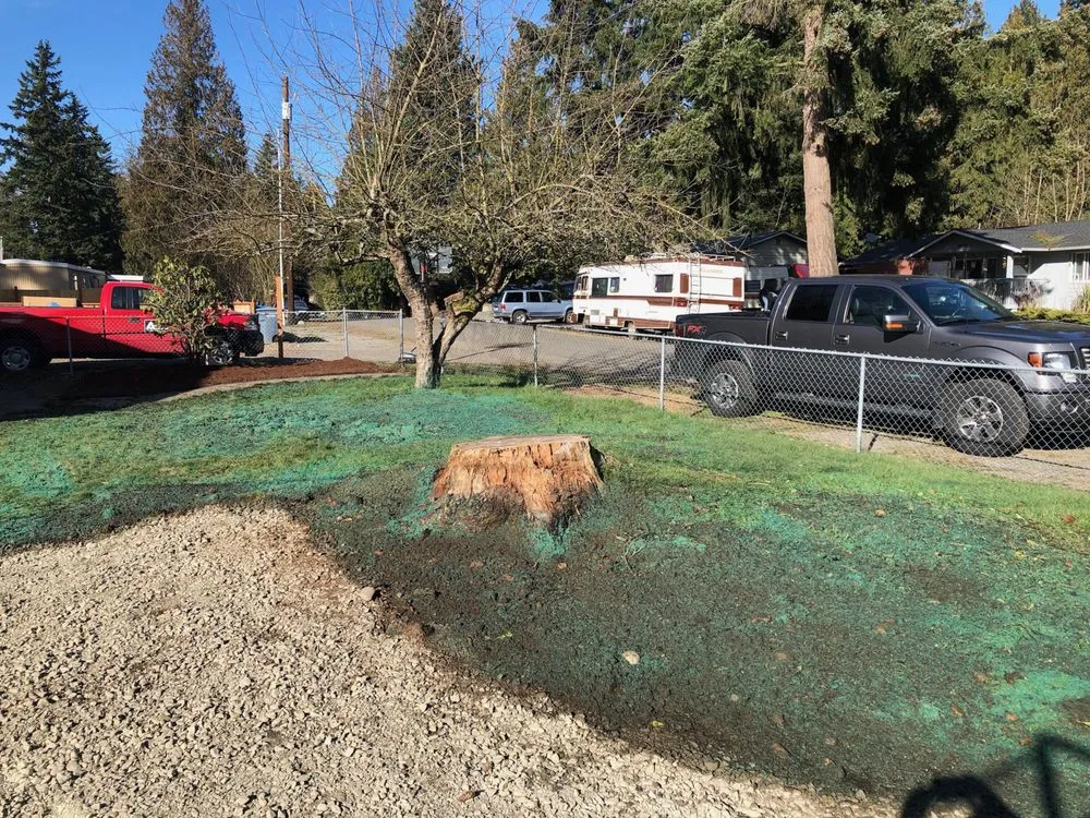 Trusted yard maintenance in Eatonville, WA by Pacific Northwest Hydroseeding