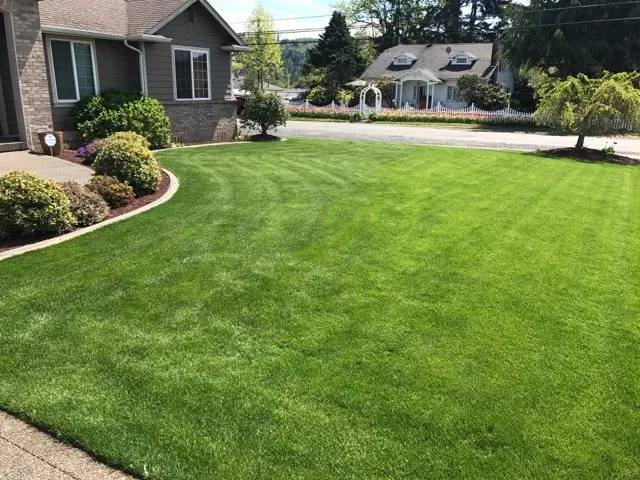 Expert lawn mowing service experts serving Eatonville, WA - Pacific Northwest Hydroseeding