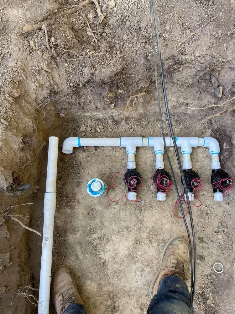 Local yard cleanup service for year-round maintenance in Seattle, WA by Pacific NorthWest Irrigation