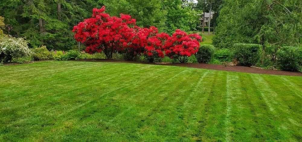Trusted lawn mowing service for outdoor upgrades in Port Orchard, WA by Pacific Northwest Landscape Management