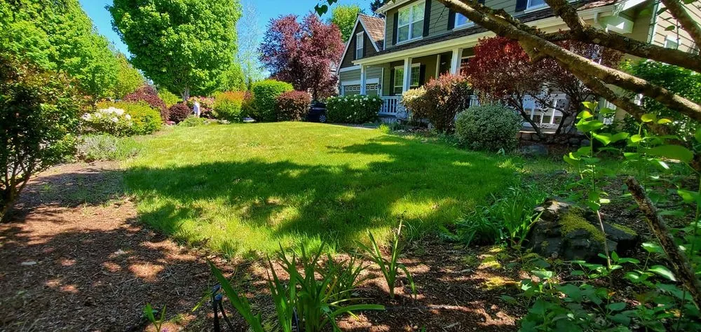 Top-rated lawn care service experts serving Port Orchard, WA - Pacific Northwest Landscape Management