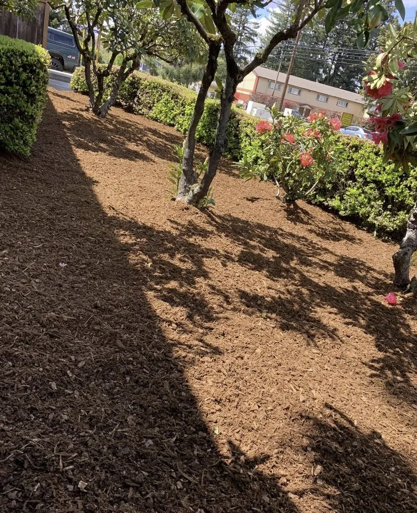 Trusted landscape installation experts serving Hillsboro, OR - Pacific Northwest Landscape Pros