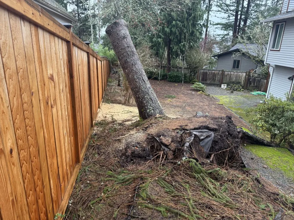 Custom yard maintenance with custom design in Lynnwood, WA by Pacific Northwest Rockeries
