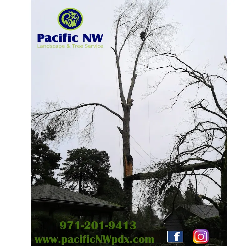 Reliable garden landscaping for homes across Portland, OR - pacific NW Landcape & Tree Services