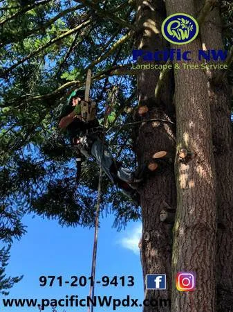 Trusted lawn care service for beautiful yards in Portland, OR by pacific NW Landcape & Tree Services