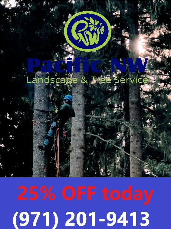 Top-rated lawn mowing service in Portland, OR - pacific NW Landcape & Tree Services