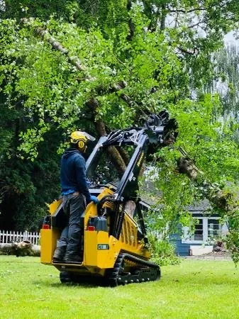 Reliable landscape installation for outdoor upgrades across Portland, OR - pacific NW Landcape & Tree Services