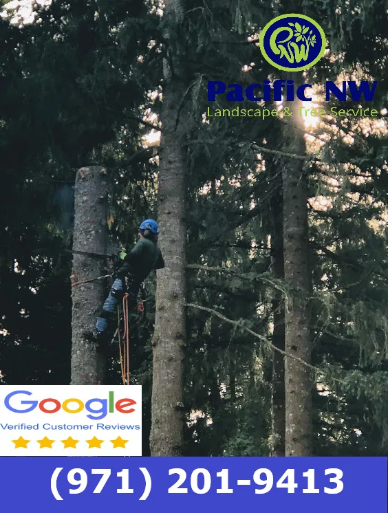 Custom landscape design for year-round maintenance in Oregon City, OR by Pacific NW Landscape & Tree Services