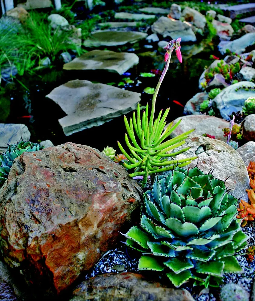 Custom landscape design near you across Sun Valley, CA - Pacific Outdoor Living