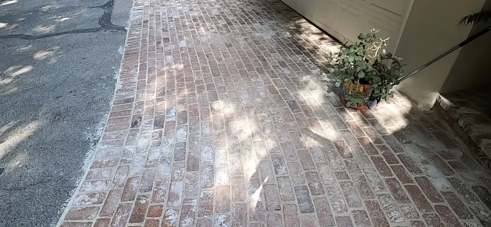 Custom lawn care service in Lake View Terrace, CA - Pacific Paradise Concrete