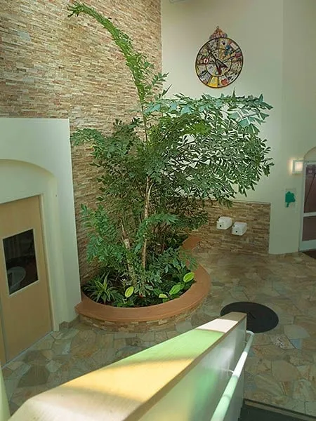 Trusted outdoor landscaping experts serving Venice, CA - Pacific Plants