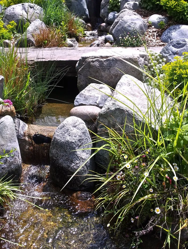 Custom landscape installation in Martinez, CA by Pacific Pond & Waterfall