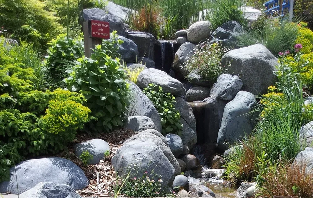 Affordable landscape installation in Martinez, CA - Pacific Pond & Waterfall