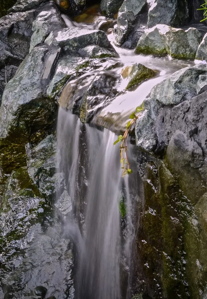 Local landscaping services for outdoor upgrades across Martinez, CA - Pacific Pond & Waterfall