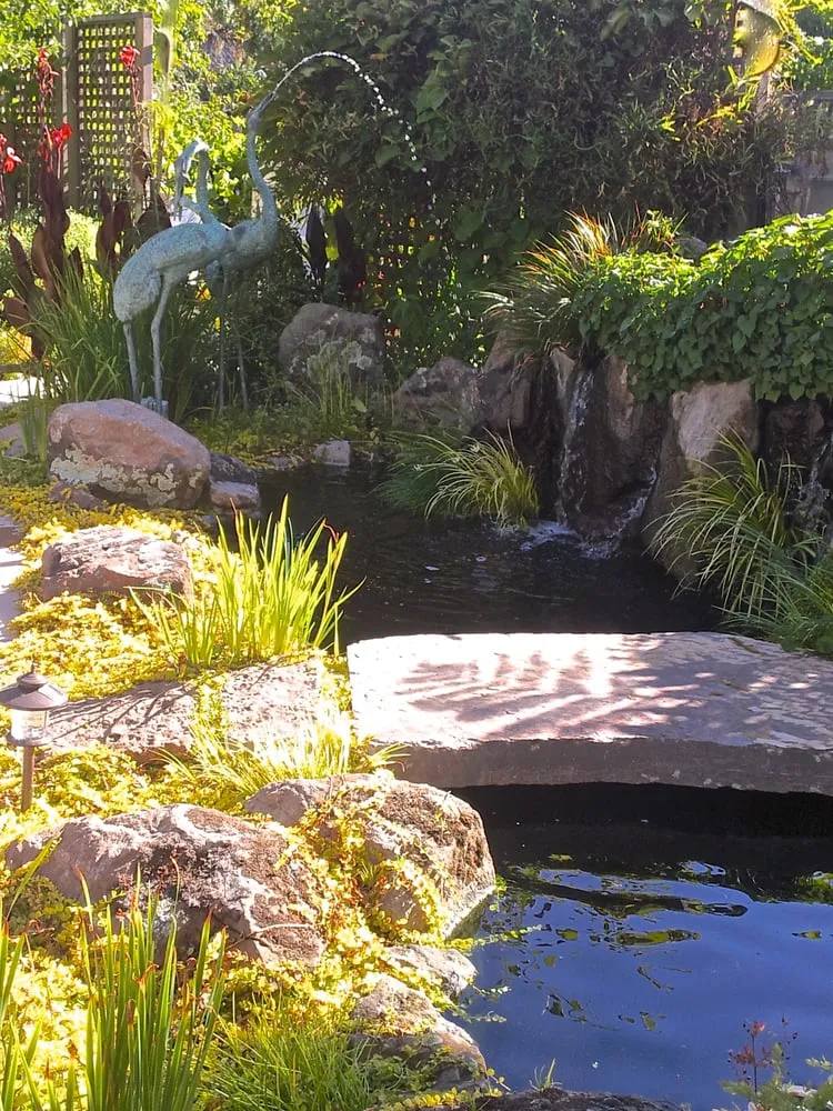 Professional outdoor landscaping near you across Martinez, CA - Pacific Pond & Waterfall