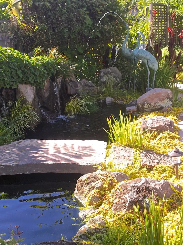 Trusted landscaping services in Martinez, CA by Pacific Pond & Waterfall