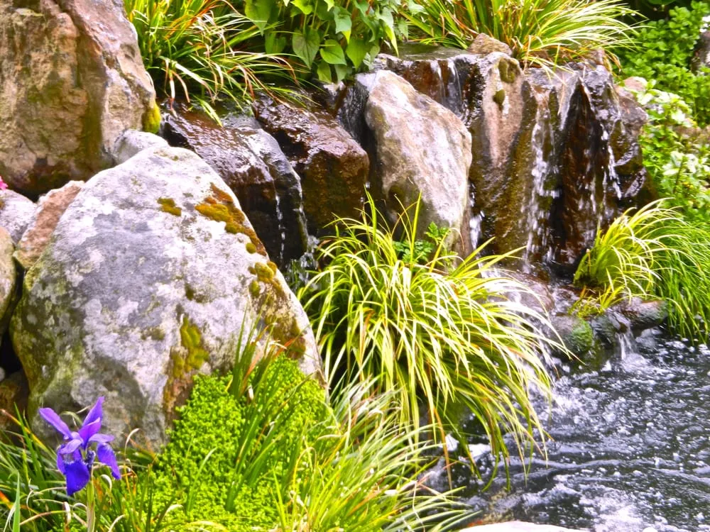 Custom garden landscaping for residential properties across Martinez, CA - Pacific Pond & Waterfall