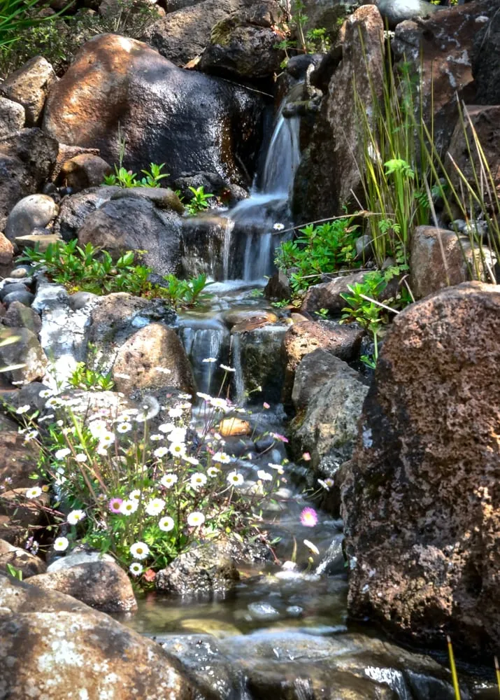 Top-rated yard maintenance in Martinez, CA by Pacific Pond & Waterfall