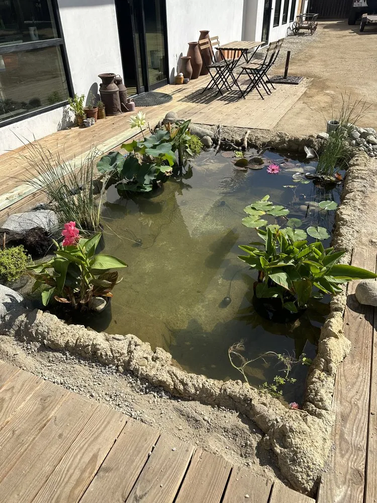 Professional lawn mowing service in North Hills, CA - Pacific Pond and Aquarium