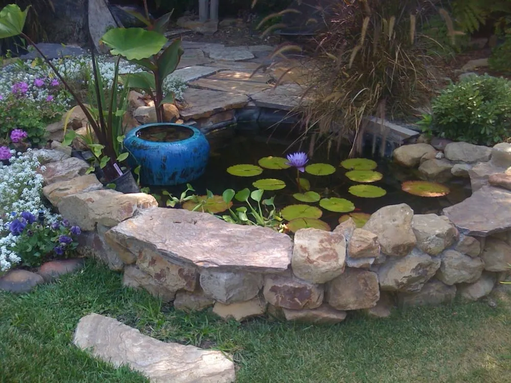 Expert lawn mowing service with custom design across North Hills, CA - Pacific Pond and Aquarium