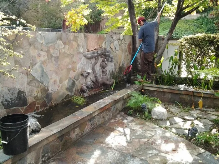 Local landscape design for beautiful yards in North Hills, CA by Pacific Pond and Aquarium