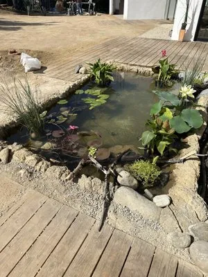 Pacific Pond and Aquarium Logo