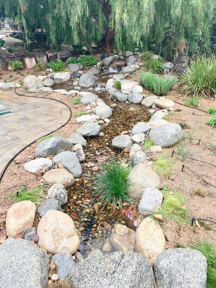 Top-rated yard cleanup service in Los Angeles, CA - Pacific Ponds & Design