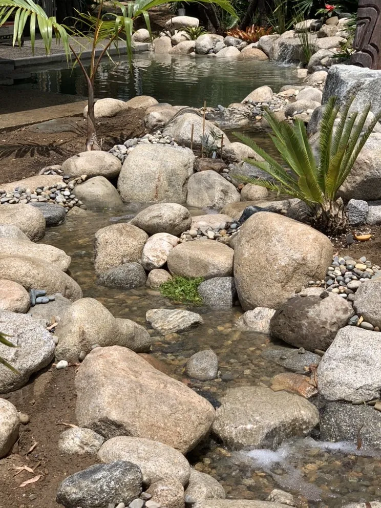 Local yard cleanup service experts serving Los Angeles, CA - Pacific Ponds & Design