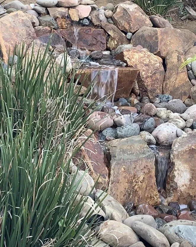 Professional outdoor landscaping in La Mesa, CA by Pacific Ponds