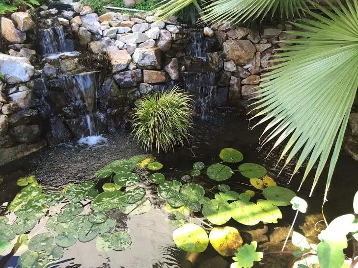 Local yard maintenance near you across La Mesa, CA - Pacific Ponds