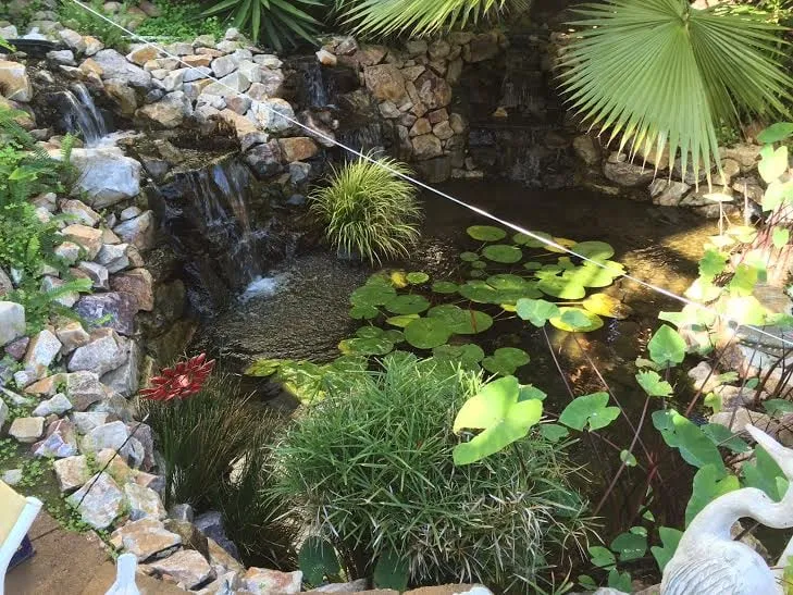 Local lawn mowing service in La Mesa, CA - Pacific Ponds