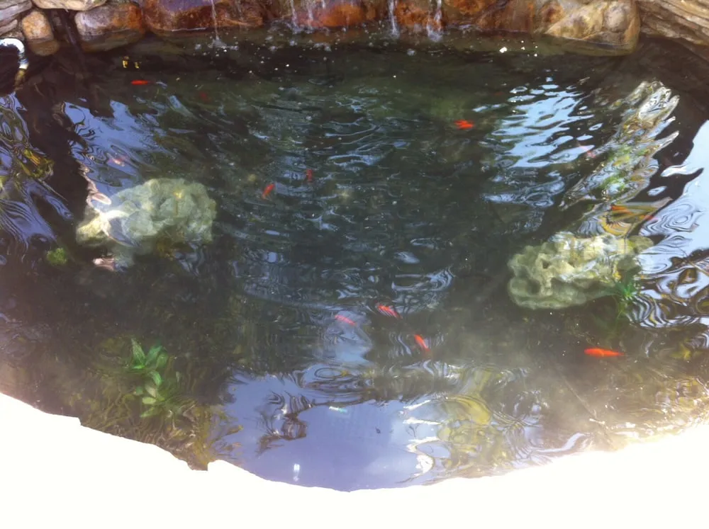 Professional yard maintenance for homes across La Mesa, CA - Pacific Ponds