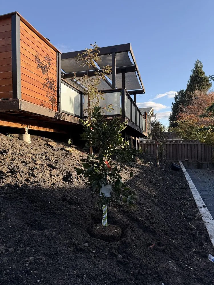 Expert yard cleanup service near you across Castro Valley, CA - Pacific Premier Landscape Inc.