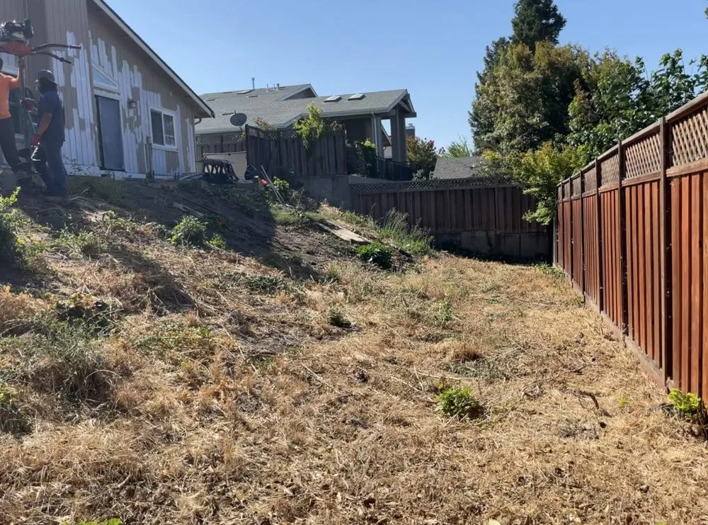 Expert landscape design experts serving Castro Valley, CA - Pacific Premier Landscape Inc.