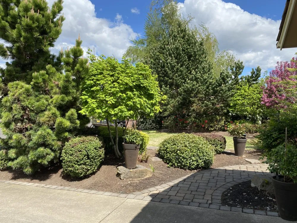 Reliable yard cleanup service near you in Dallas, OR by Pacific Pro Lawn